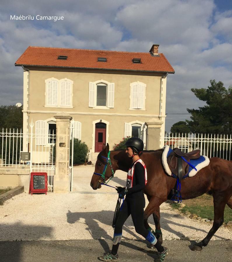 サラン・ド・ジロー Maebrilu Camargue Provence Bed & Breakfast エクステリア 写真