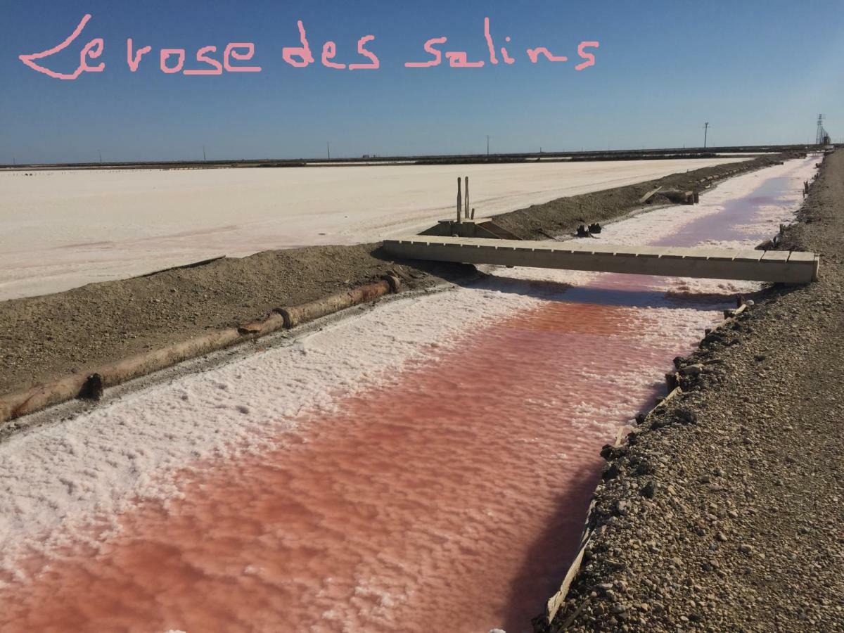 サラン・ド・ジロー Maebrilu Camargue Provence Bed & Breakfast エクステリア 写真