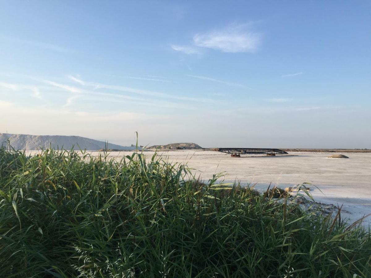 サラン・ド・ジロー Maebrilu Camargue Provence Bed & Breakfast エクステリア 写真
